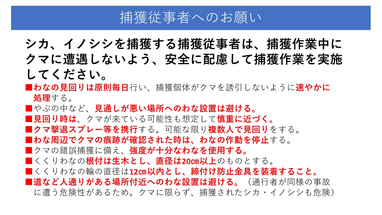 クマの注意喚起