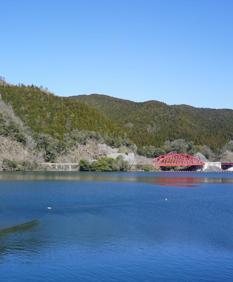 春の日南湖（携帯版）