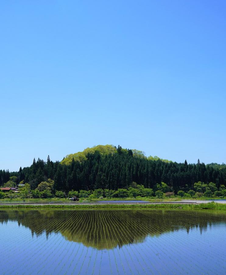 印賀田んぼ（携帯版）