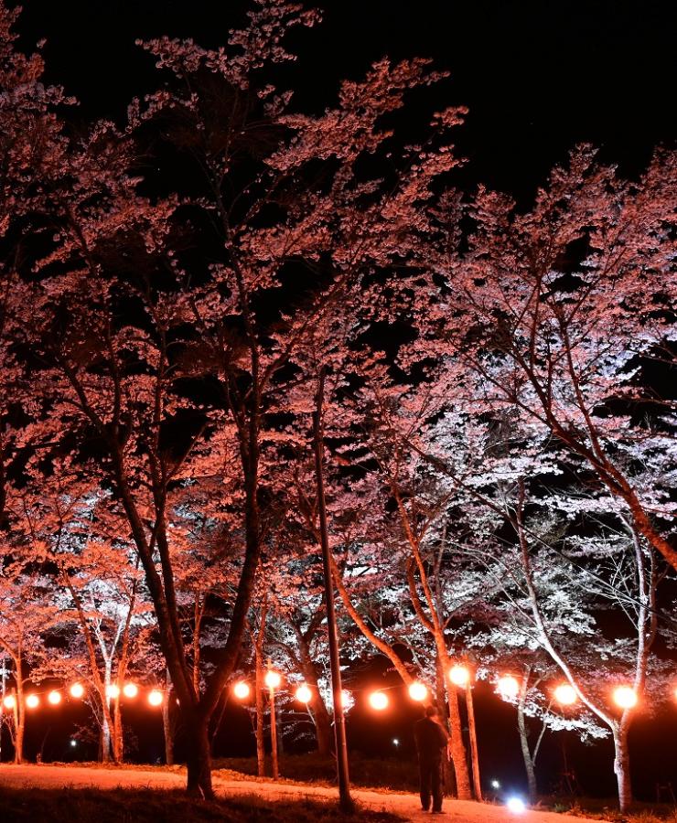 【スマホ版】多里桜公園