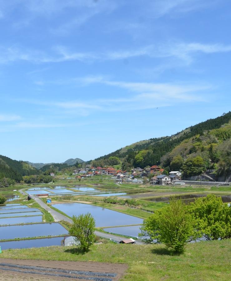 田んぼ（携帯版）