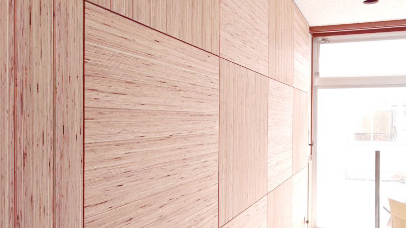 森林・林業教育拠点改修工事の進捗1/29_4